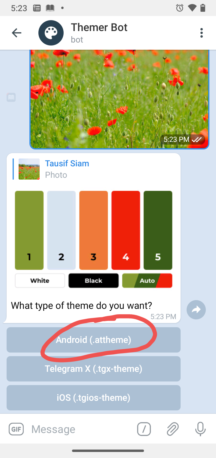 telegram theme