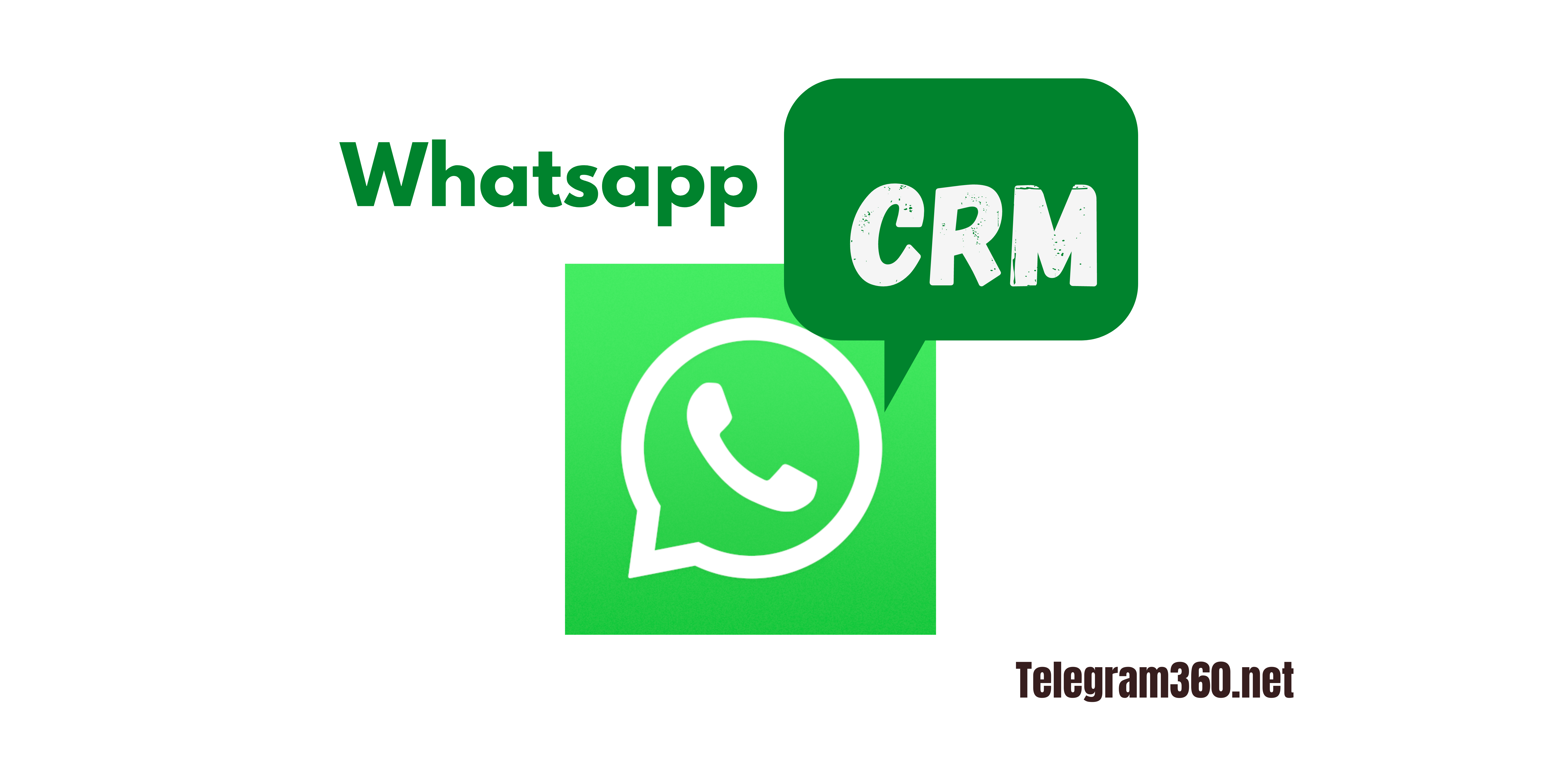 Telegram Vs WhatsApp