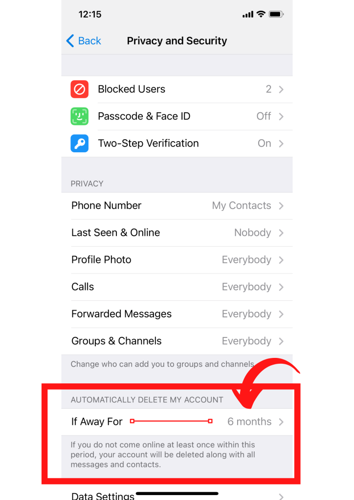 Delete Telegram Account: iPhone 