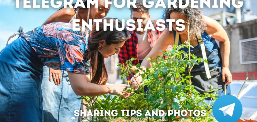 Telegram for Gardening Enthusiasts Sharing Tips and Photos
