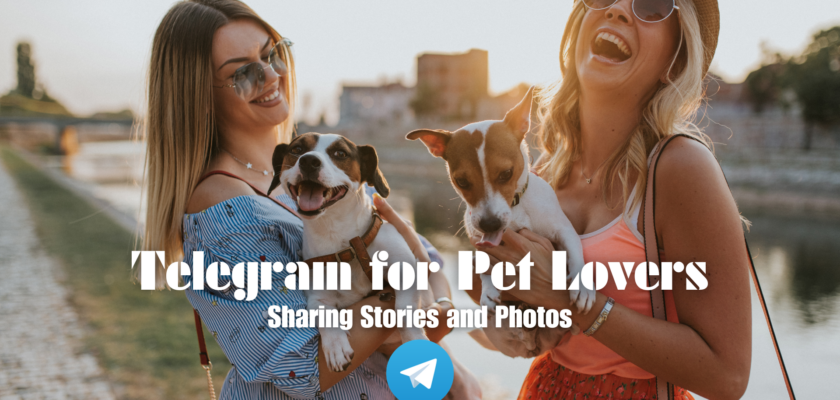 Telegram for Pet Lovers: Sharing Stories and Photos